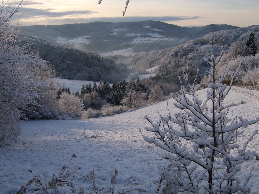 Agroturystyka Millerowka Kamionka Mala  Buitenkant foto