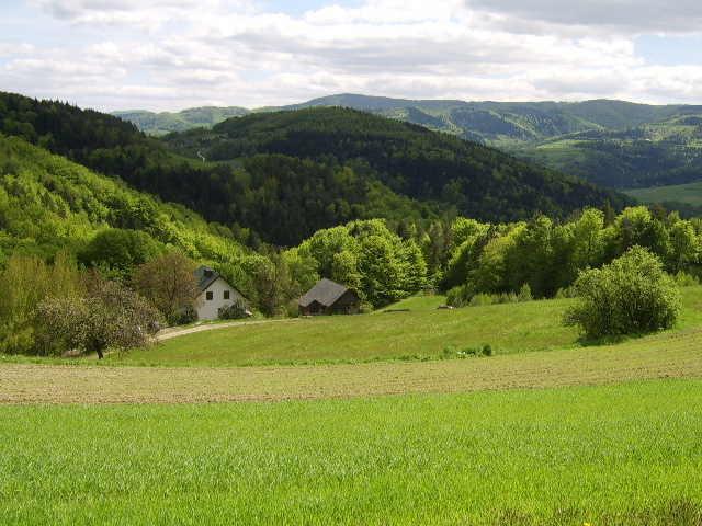 Agroturystyka Millerowka Kamionka Mala  Buitenkant foto