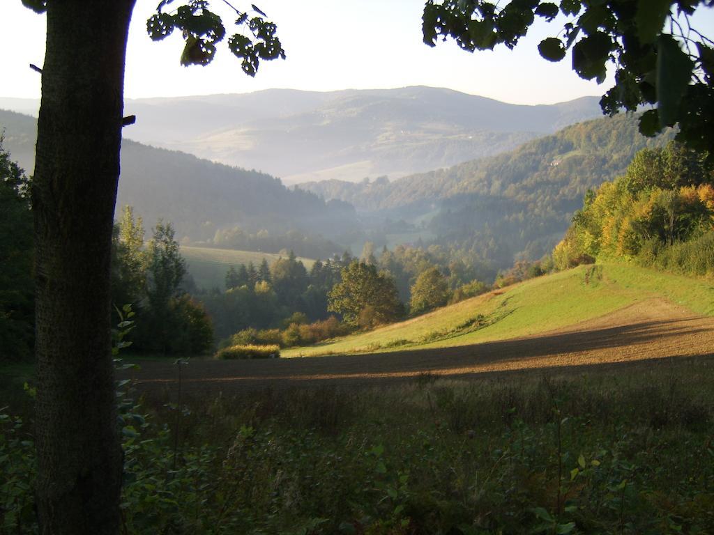 Agroturystyka Millerowka Kamionka Mala  Buitenkant foto