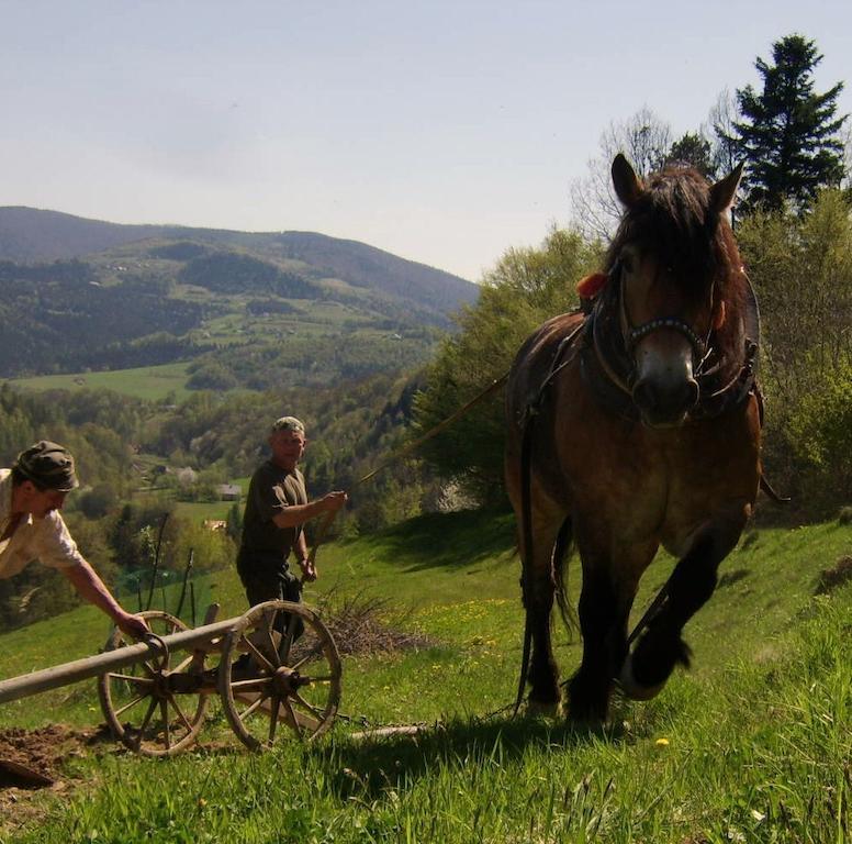 Agroturystyka Millerowka Kamionka Mala  Buitenkant foto
