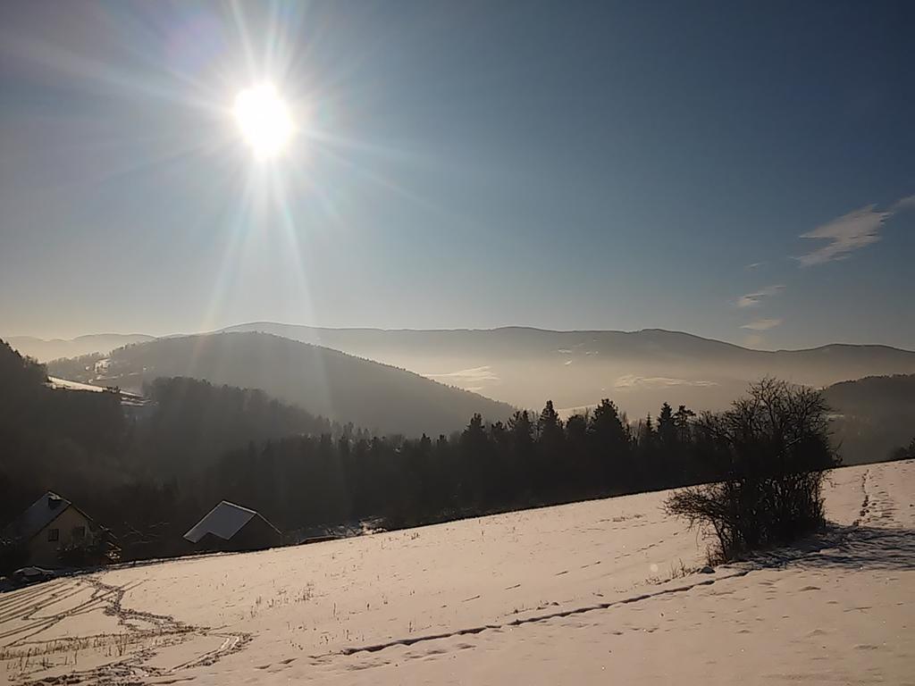 Agroturystyka Millerowka Kamionka Mala  Buitenkant foto